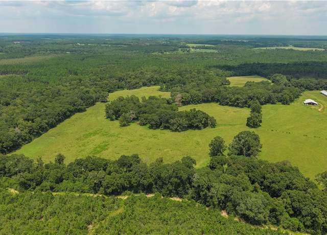 Property at 0 Circle R Farm Dr, Florala, AL 36442
