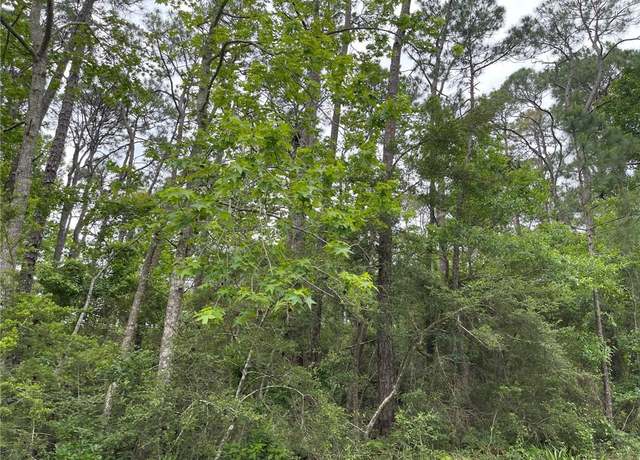 Property at 1105 Alabama Ave, Dauphin Island, AL 36528