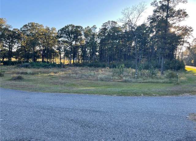 Property at 0 Henry Davis Rd, Chunchula, AL 36521