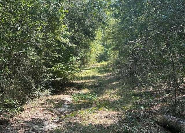 Property at 17245 Kelley Rd, Mount Vernon, AL 36560