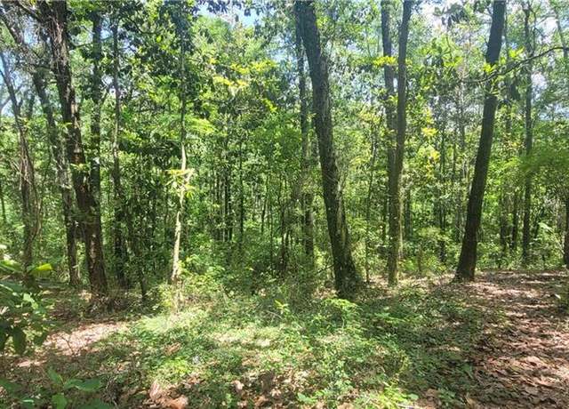 Property at 0 Murray Heights Dr N, Irvington, AL 36544