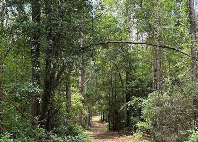 Property at 0 Spice Pond Dr, Eight Mile, AL 36613