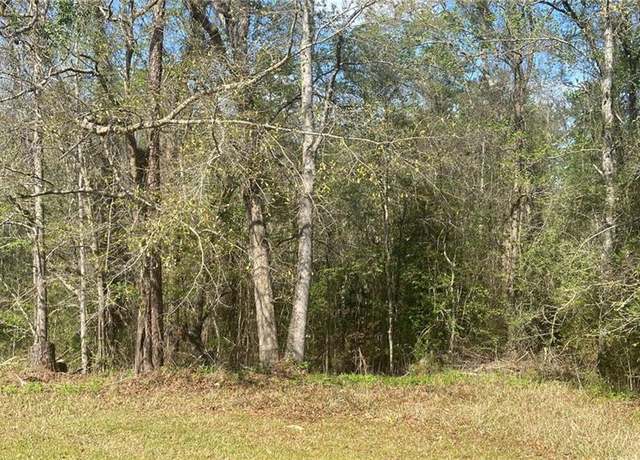 Property at 0 Lymon Ln, Bay Minette, AL 36605