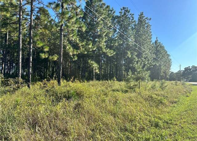 Property at 0 Red Fox Rd, Mount Vernon, AL 36560