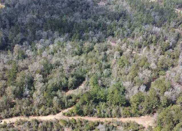 Property at 0 Chunchula-georgetown Rd, Chunchula, AL 36521