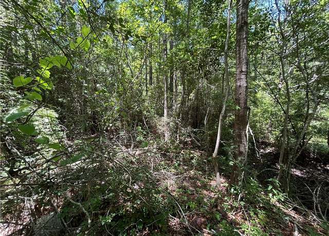 Property at 0 Bayou Pines Dr, Coden, AL 36523