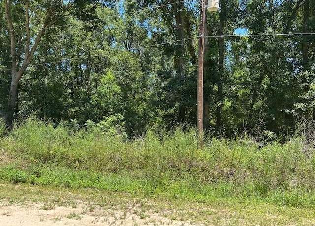 Property at 0 Oregon Ave, Coden, AL 36523