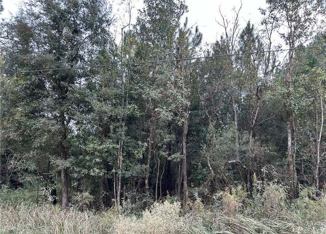 Property at 0 Taylor Ave, Irvington, AL 36544