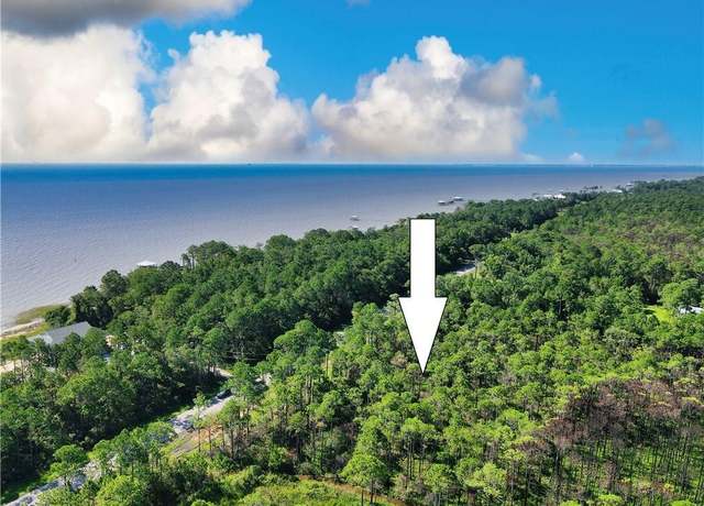 Property at 0 Dauphin Island Pkwy, Coden, AL 36523