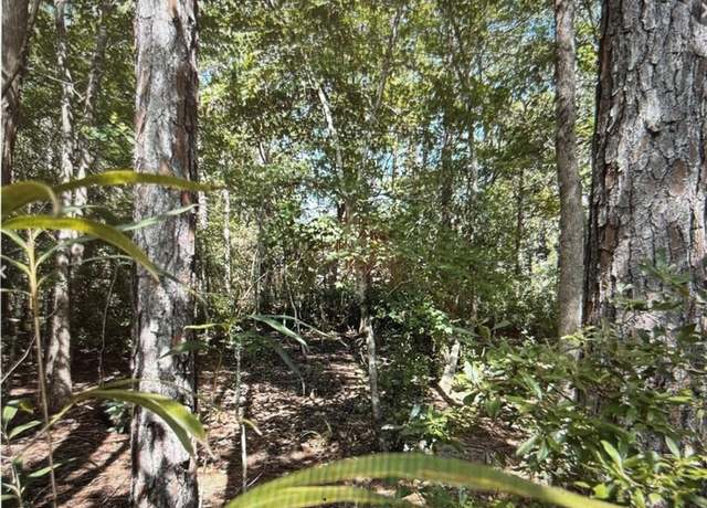 Property at 0 Royal River Dr, Coden, AL 36523