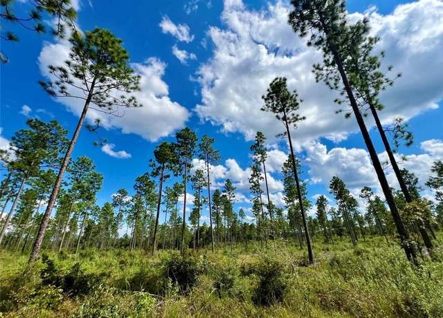 Property at 0 Shepard House Rd, Mount Vernon, AL 36560