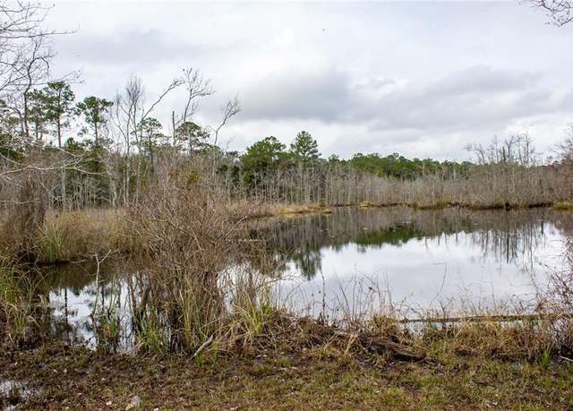Property at 0 Dauphin Island Pkwy, Coden, AL 36523