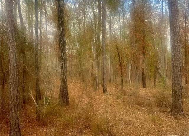 Property at 0 Jimmy Rd, Chatom, AL 36518