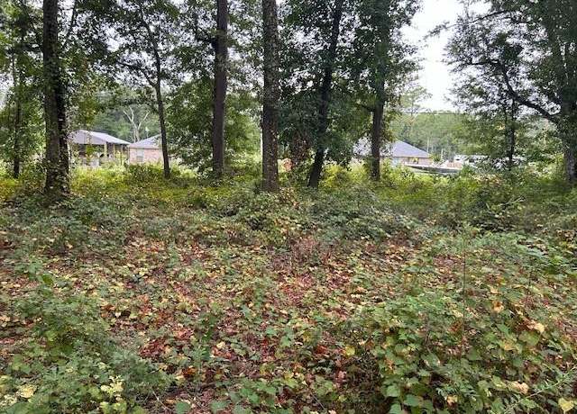 Property at 0 Dauphin Island Pkwy, Theodore, AL 36582
