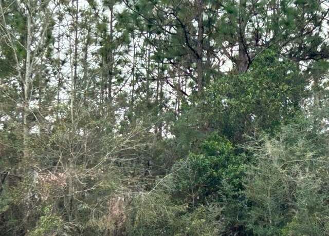 Property at 0 Royal River Dr, Coden, AL 36523