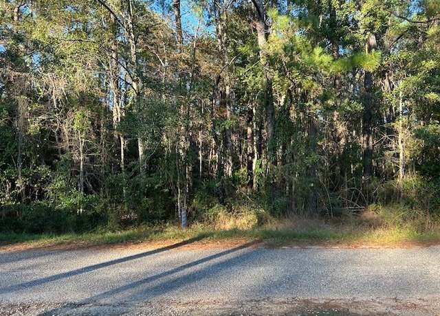 Property at 0 Bayou Dr, Bayou La Batre, AL 36509