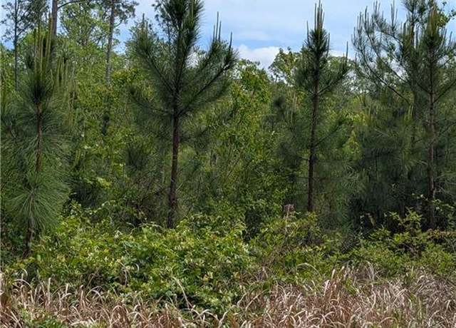 Property at 0 Deer Park Burbank Rd, Deer Park, AL 36529
