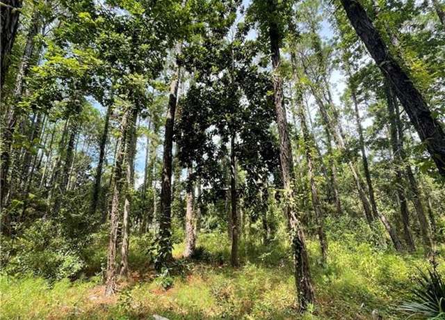 Property at 707 Cadillac Ave, Dauphin Island, AL 36528