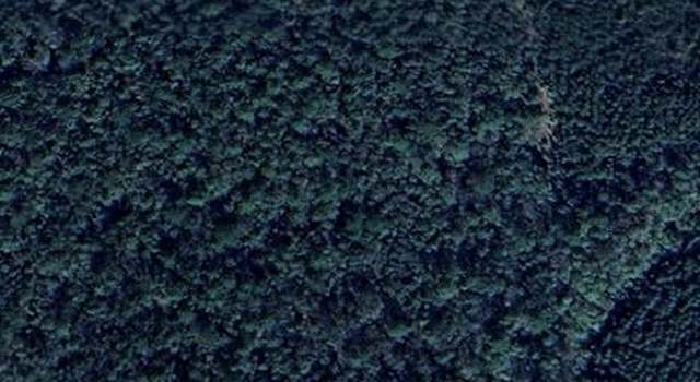 Photo of 0 Firetower Rd, Mcintosh, AL 36553