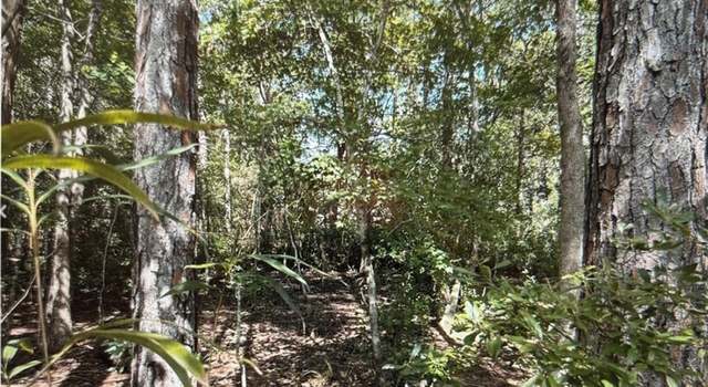 Photo of 0 Royal River Dr, Coden, AL 36523