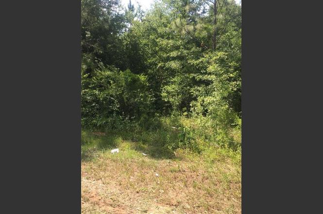 4550 Coy Smith Hwy, Citronelle, AL 36522 | MLS# 7037769 | Redfin