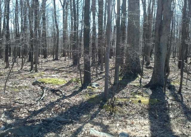 Property at Lot 31,32 Lenape Dr, East Stroudsburg, PA 18302