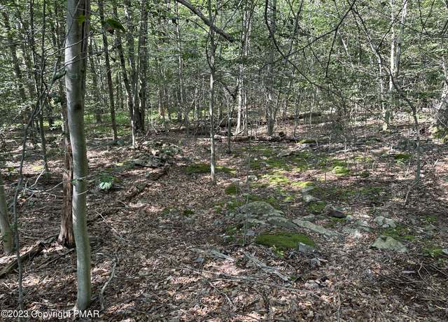 Property at Lot 87 Sunfish Ct, Canadensis, PA 18325