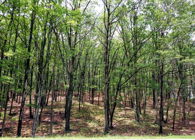 Property at 1584 N Rocky Mountain Dr, Effort, PA 18330