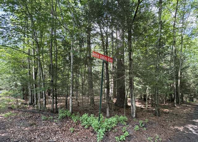 Property at Lot 45 Annie Oakley Aly, Henryville, PA 18332