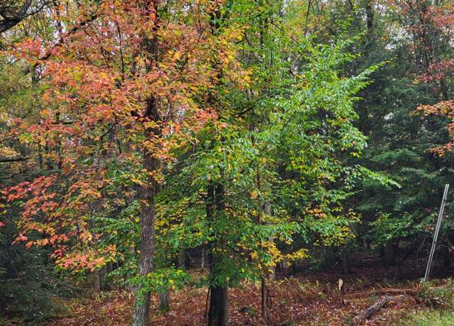 Property at Dryden Dr, Albrightsville, PA 18210