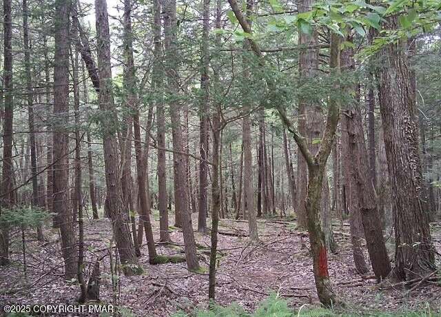 Property at 18 Robyn Ln, Pocono Lake, PA 18347