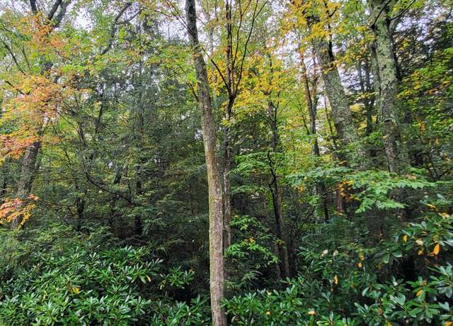 Property at Sunrise Ln, Albrightsville, PA 18210