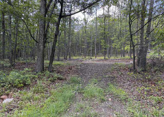Property at Foothill Blvd 5 Blvd, Effort, PA 18330
