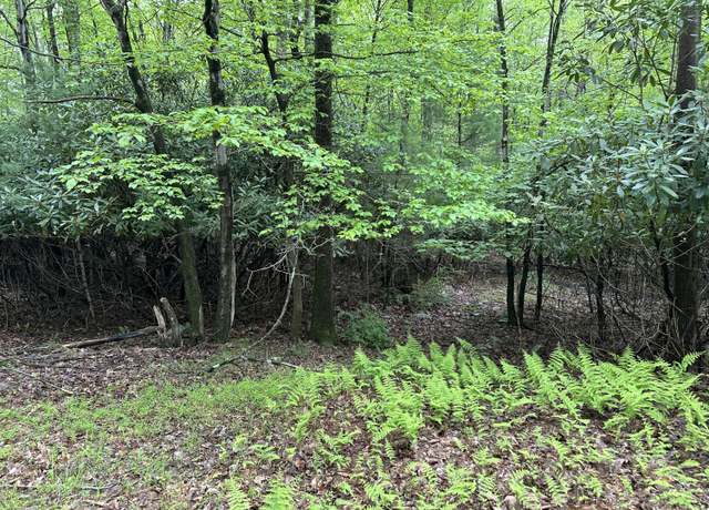 Property at W14 Green Wood Dr, Kunkletown, PA 18058