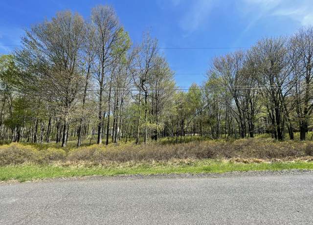 Property at Forest Hill Dr, Blakeslee, PA 18610
