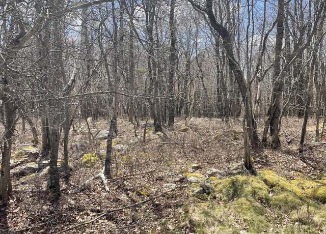 Property at Buck Hill Road 72, Blakeslee, PA 18610