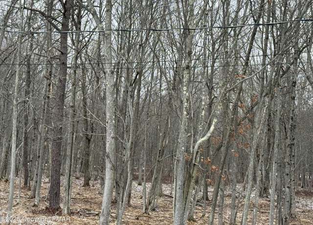 Property at 433 Holiday Dr, Pocono Summit, PA 18346
