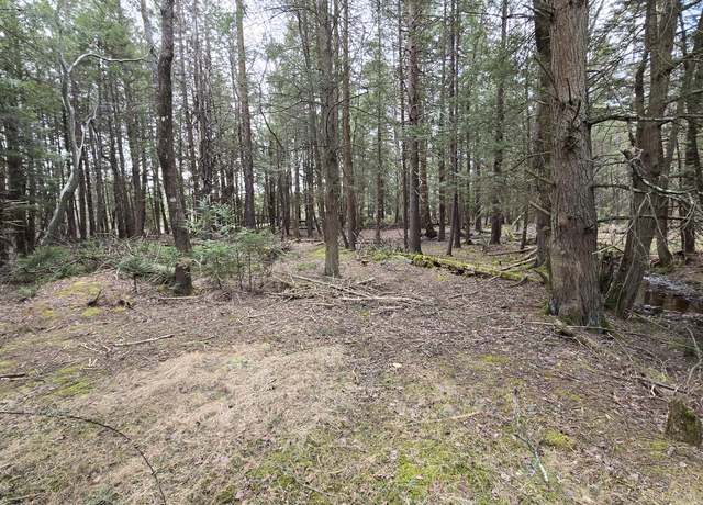 Property at 74 Forest Dr, Pocono Lake, PA 18347