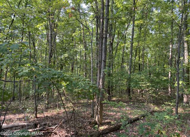 Property at Lot 312 Pine Creek Dr, East Stroudsburg, PA 18302