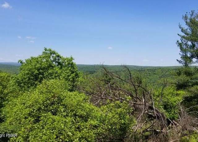 Property at W OF LR 45080, East Stroudsburg, PA 18301