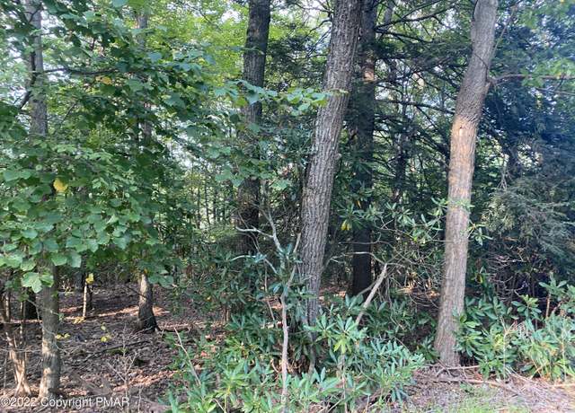 Property at Lot 3 T 561, Cresco, PA 18326