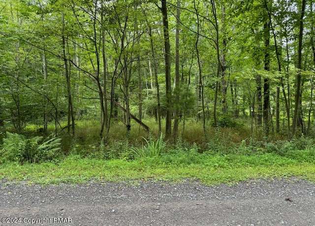 Property at Rocky Swamp Rd, Pocono Lake, PA 18610