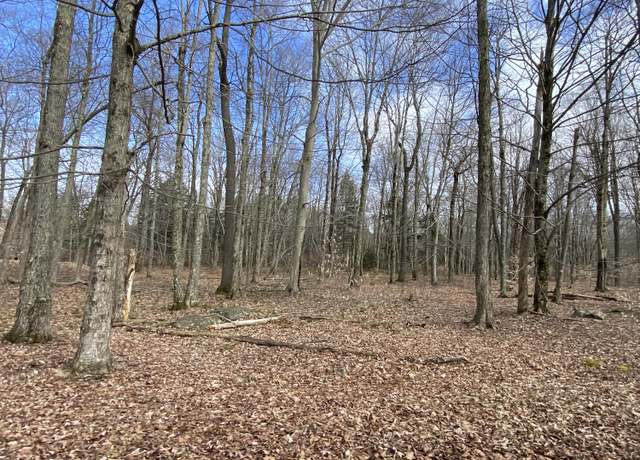 Property at 1018 W Wadi Rd W, Pocono Lake, PA 18347