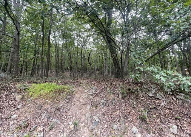 Property at 195 Cirdr 2919, Effort, PA 18330