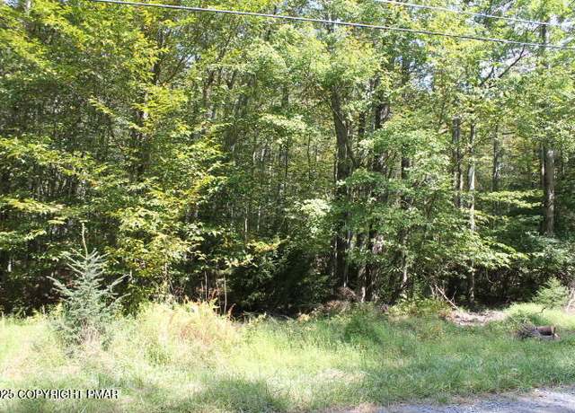 Property at Sheshequin Dr 24, Pocono Lake, PA 18347