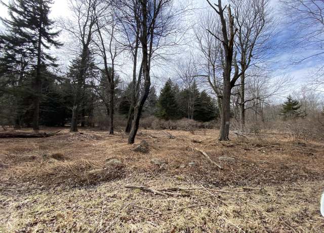Property at 905 Wadi Rd W, Pocono Lake, PA 18347