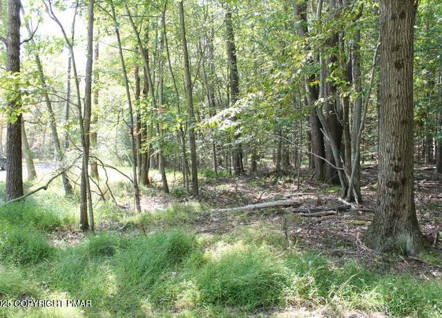 Property at Omaha Trl 22, Pocono Lake, PA 18347