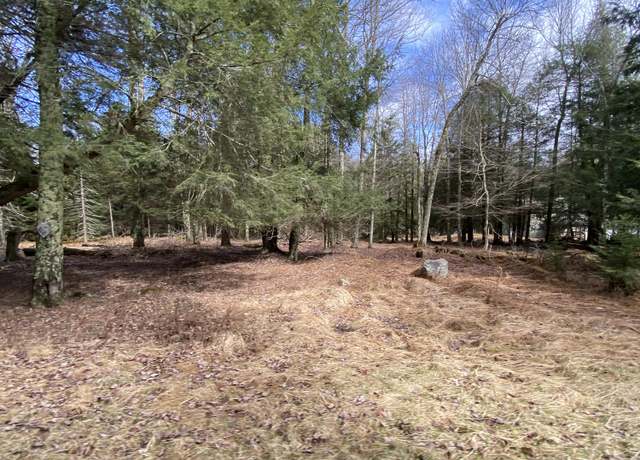 Property at 1024 W Wadi Rd W, Pocono Lake, PA 18347