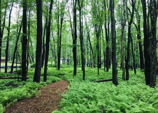 Property at Lot 506 Ridge Rd, Pocono Lake, PA 18347