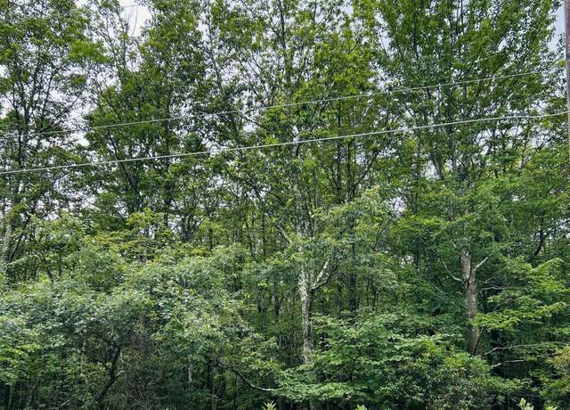 Property at Lot A107 Chippy Cir, Jim Thorpe, PA 18229